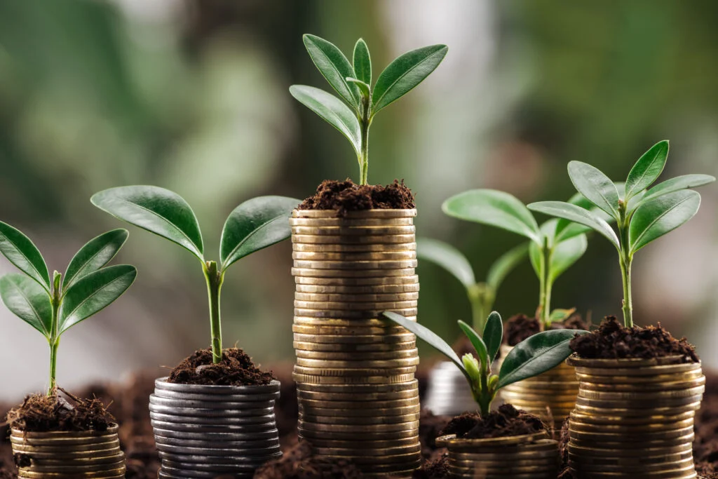 Pagamento por Serviços Ambientais – UMA VISÃO FUTURISTA