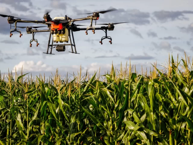 PULVERIZACAO POR DRONES PREJUDICA APICULTURA