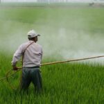 A imagem apresenta um alerta oficial do Instituto Brasileiro de Apicultura e Meliponicultura (IBRAM) sobre o risco iminente que drones agrícolas sem registro representam para abelhas e polinizadores no Brasil.