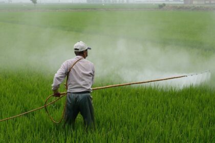 A imagem apresenta um alerta oficial do Instituto Brasileiro de Apicultura e Meliponicultura (IBRAM) sobre o risco iminente que drones agrícolas sem registro representam para abelhas e polinizadores no Brasil.