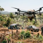 Uma fotografia digital realista retrata uma cena de desmatamento ilegal no Cerrado goiano