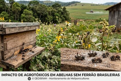 Modelo BEE-REX Brasil