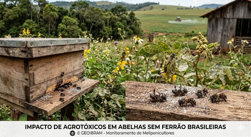 Modelo BEE-REX Brasil