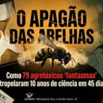O Veredito do GeoIBRAM e o Princípio do Não Retrocesso
