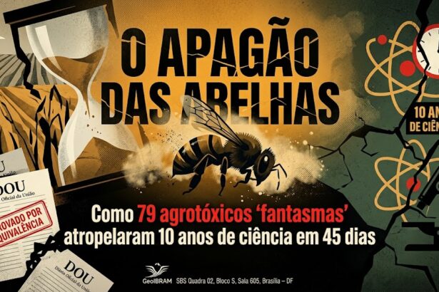 O Veredito do GeoIBRAM e o Princípio do Não Retrocesso