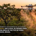 drone libera uma nuvem densa de pulverização química (defensivos ou herbicidas) diretamente sobre a vegetação nativa