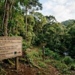compensacao de reserva legal
