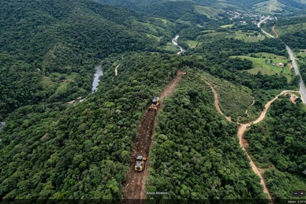 A tecnologia tornou-se uma das maiores aliadas na preservação da Mata Atlântica. O que antes dependia exclusivamente de denúncias ou de patrulhas terrestres complexas, hoje é detectado em tempo real do espaço. Como retratado na imagem watermarked_img_12002667766380017946.png, sistemas avançados de monitoramento por satélite conseguem cruzar dados geográficos e identificar alertas de desmatamento assim que as primeiras árvores começam a cair.