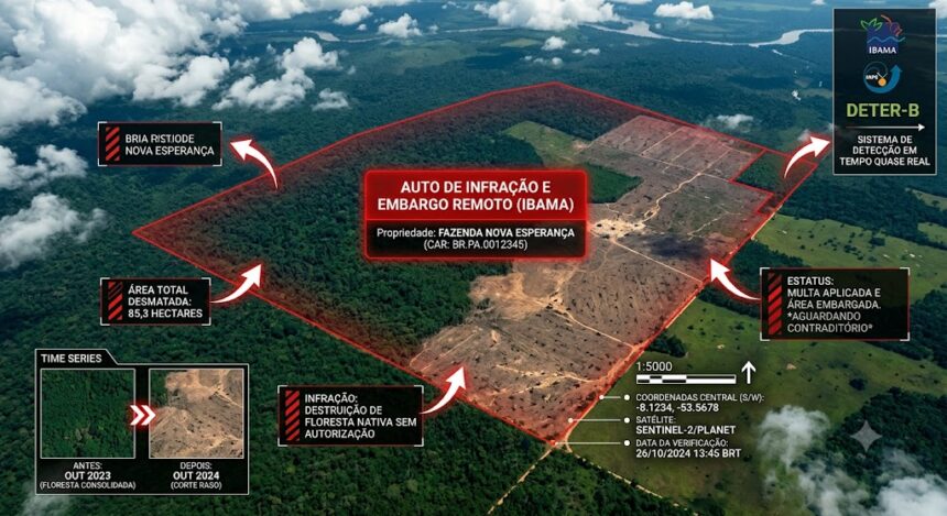 satelite do ibama multa propriedades rurais
