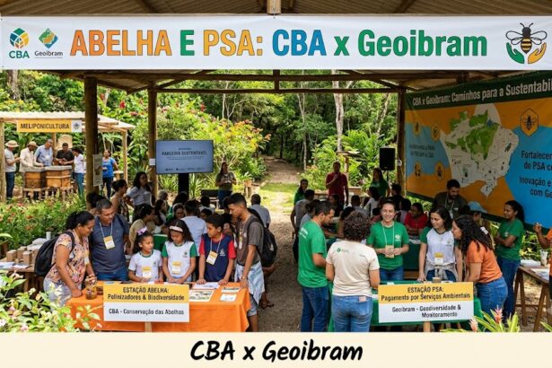 Apicultor brasileiro e suas colmeias, parte do programa de pagamento por serviços ambientais