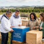 EMPRESAS AUDITANDO COLMEIAS PSA