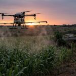 DRONE ILEGAL PULVERIZANDO