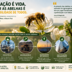 O PSA da polinização e a proteção das abelhas não devem figurar apenas como uma pauta exclusiva do agronegócio. Pelo contrário, indústrias, mineradoras, geradoras de energia e instituições financeiras também precisam integrar essa agenda em suas operações diárias. Anna Willingshofer destacou justamente esse ponto durante sua conferência no seminário.
