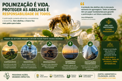 O PSA da polinização e a proteção das abelhas não devem figurar apenas como uma pauta exclusiva do agronegócio. Pelo contrário, indústrias, mineradoras, geradoras de energia e instituições financeiras também precisam integrar essa agenda em suas operações diárias. Anna Willingshofer destacou justamente esse ponto durante sua conferência no seminário.