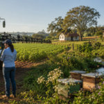 Antes de pulverizar agrotóxicos, produtor verifica escola rural, moradias, fonte de água e colmeias próximas