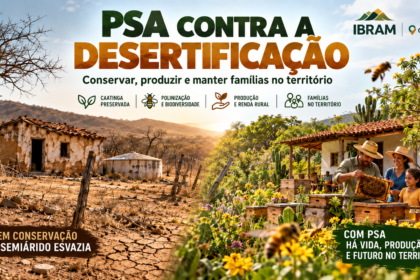 Imagem dividida do semiárido: à esquerda, casa rural abandonada, solo seco e Caatinga degradada; à direita, família rural com abelhas, colmeias, flores e vegetação preservada. Destaque para o PSA como instrumento de conservação, polinização, geração de renda e permanência das famílias no território.