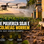 Drone pulveriza lavoura de soja próximo a apiário, ilustrando deriva de agrotóxico e morte de 200 colmeias de abelhas.