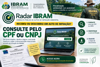 CONSULTE MULTAS AMBIENTAIS