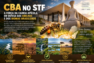 CBA no STF em defesa das abelhas e dos biomas brasileiros, com imagem do Supremo Tribunal Federal, abelha em flor e representação da Amazônia, Cerrado, Caatinga, Mata Atlântica, Pantanal e Pampa
