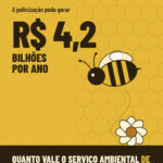 o Dia Nacional das Abelhas não precisa ser apenas uma data de homenagem. Ele também pode marcar uma mudança na forma como a sociedade enxerga economicamente esses polinizadores.
