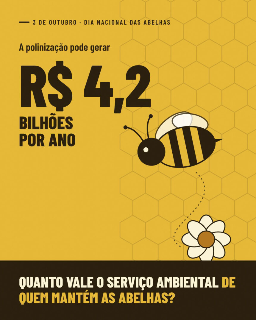 o Dia Nacional das Abelhas não precisa ser apenas uma data de homenagem. Ele também pode marcar uma mudança na forma como a sociedade enxerga economicamente esses polinizadores.