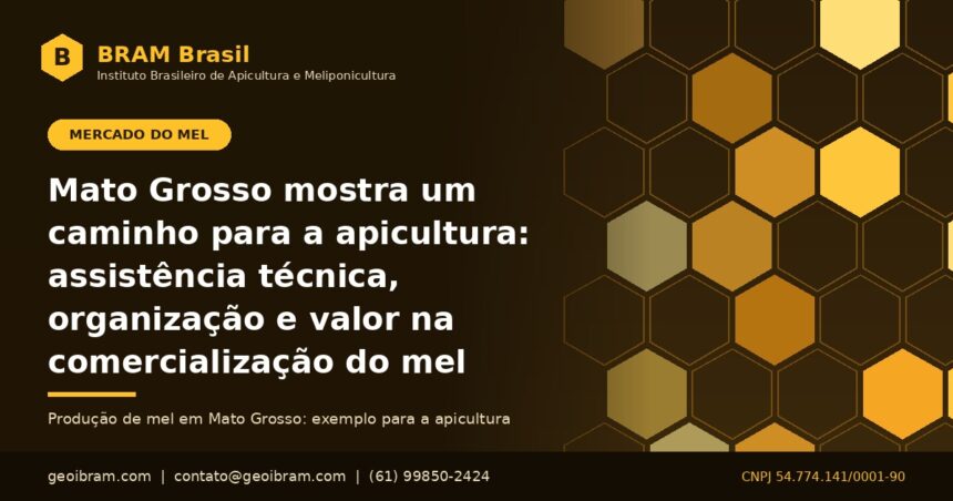 Produção de mel em Mato Grosso: assistência técnica e comercialização na apicultura, imagem institucional do BRAM Brasil